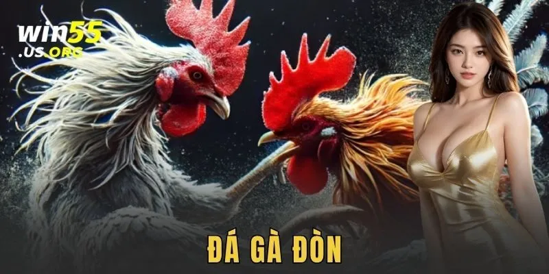 Đá gà đòn WIN55